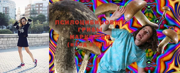 apvp Алексин